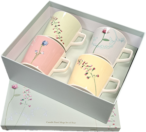 Aynsley Camille Pastel Mug Set of 4-Goviers