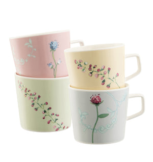 Aynsley Camille Pastel Mug Set of 4-Goviers