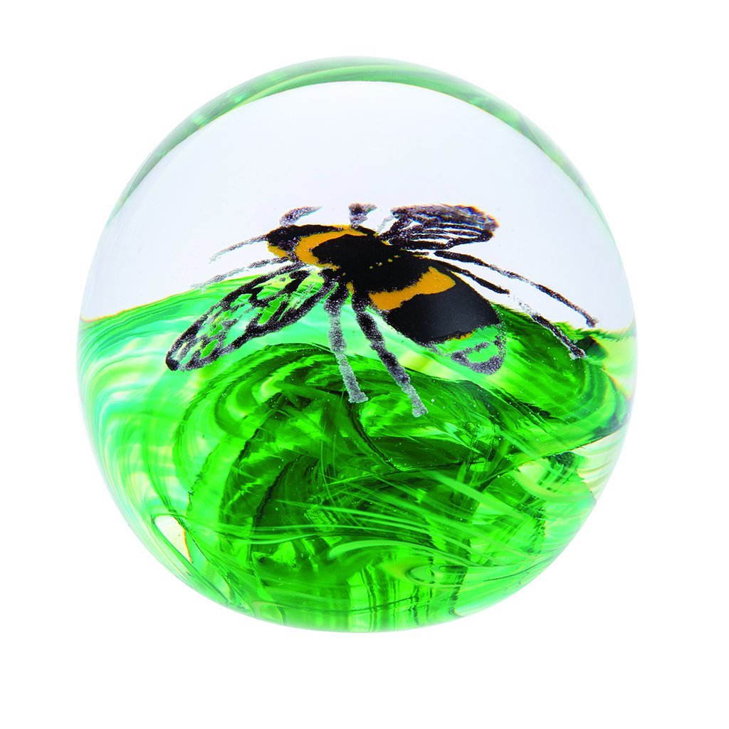 Caithness Glass Buzzing Bee Paperweight-delivery 2021-Paperweights-Goviers