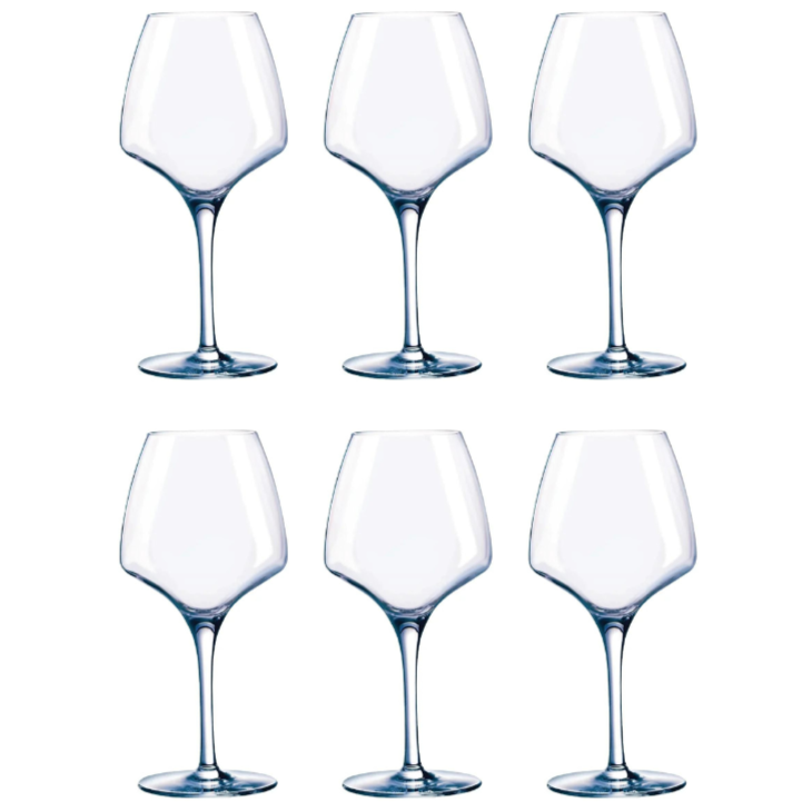 Chef & Sommelier Short Stemmed Universal Wine Glass Set of 6-Goviers