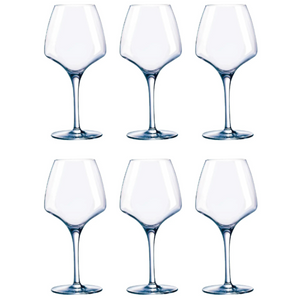 Chef & Sommelier Short Stemmed Universal Wine Glass Set of 6-Goviers