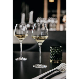 Chef & Sommelier Universal Wine Glasses Set of 6-Goviers