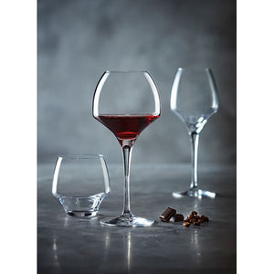 Chef & Sommelier Universal Wine Glasses Set of 6-Goviers