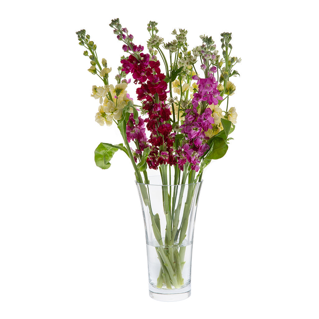 Dartington Crystal Florabundance Bouquet Flared-Home & Garden > Kitchen & Dining > Tableware > Drinkware-Goviers