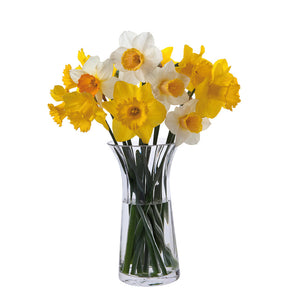 Dartington Crystal Florabundance Daffodil Vase-Home & Garden > Kitchen & Dining > Tableware > Drinkware-Goviers