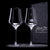 Gabriel Glas StandArt Universal Wine Glass Set of 2-Goviers