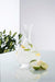 Galway Crystal Erne Carafe-Home & Garden > Kitchen & Dining > Tableware > Drinkware-Goviers