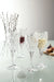 Galway Crystal Renmore Goblet Set of 4-Home & Garden > Kitchen & Dining > Tableware > Drinkware-Goviers