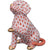 Herend Dog Giving Paw VH - IN STOCK NOW-Collectables-Goviers