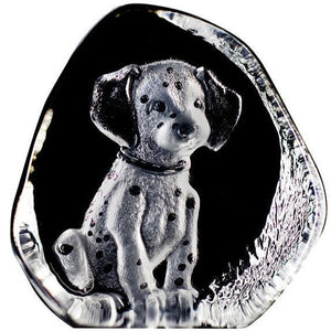 Maleras Dalmatian Pup-Glass-Goviers