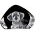 Maleras Harrier Pup-Glass-Goviers