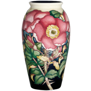 Moorcroft Ferox Vase-Goviers