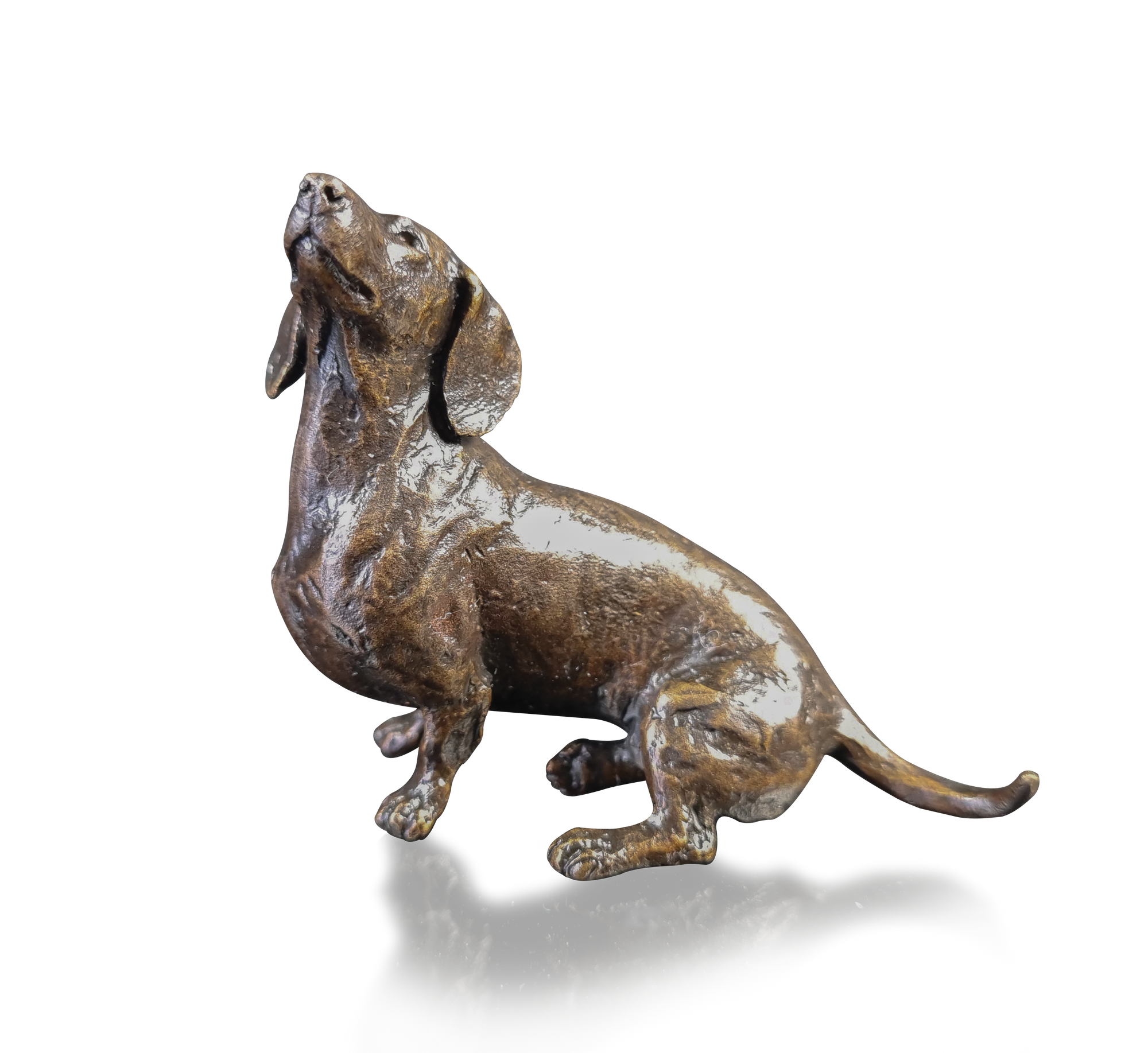 Richard Cooper Dachshund Sitting-Goviers