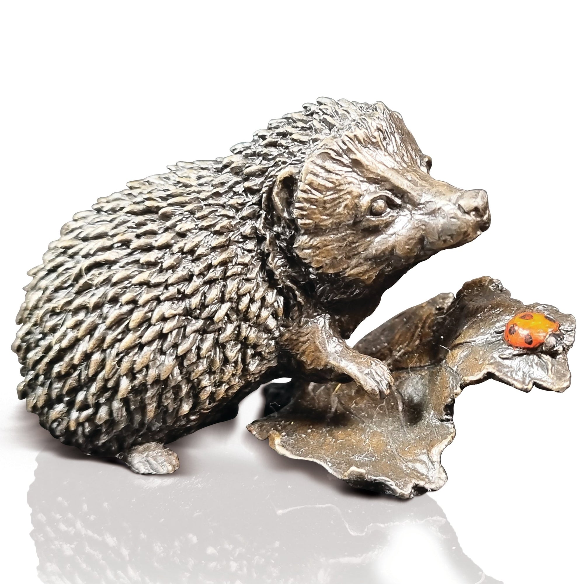 Richard Cooper Hedgehog With Ladybird-Goviers