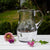 Royal Scot Crystal Dragonfly Large Jug-Goviers