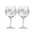 Royal Scot Crystal Grapevine G & T Copa Glass Set of 2-Home & Garden > Kitchen & Dining > Tableware > Drinkware-Goviers