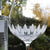 Royal Scot Crystal Zest G & T Copa Glass-Home & Garden > Kitchen & Dining > Tableware > Drinkware-Goviers