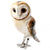 Saturno Barn Owl Large-Goviers