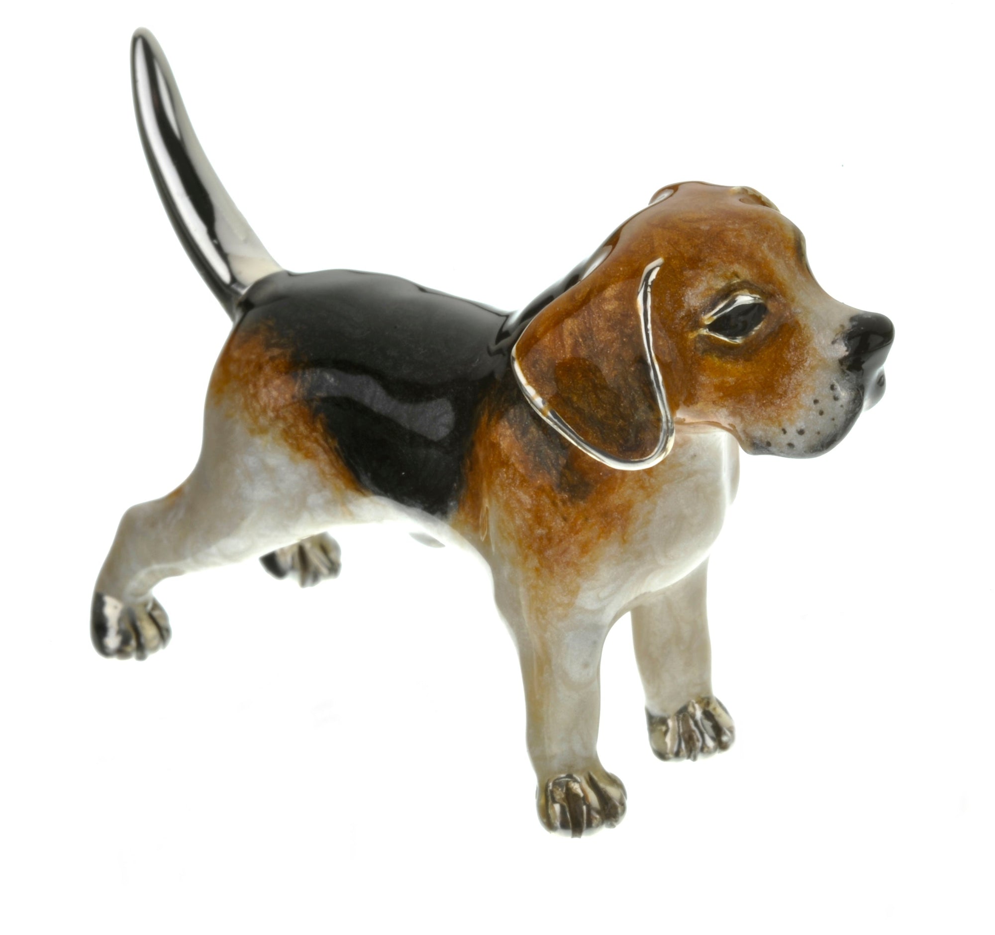 Saturno Beagle Large-Goviers