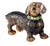 Saturno Dachshund Large Standing-Goviers