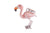 Saturno Flamingo Pendant-Goviers