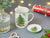 Spode Christmas Tree Mug & Coaster Set-Home & Garden > Kitchen & Dining > Tableware-Goviers