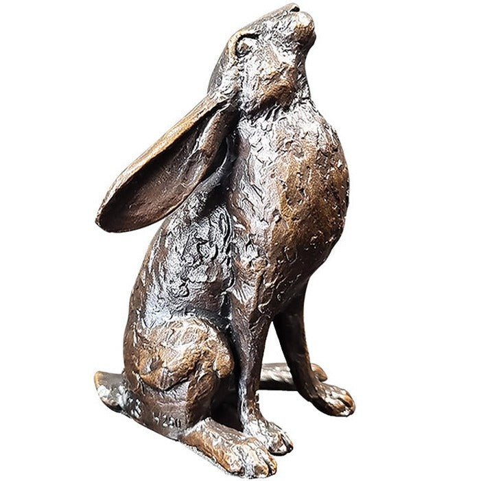 Richard Cooper Small Hare Moon Gazing-Bronzes-Goviers