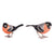 Saturno Bullfinch Large-Collectables-Goviers