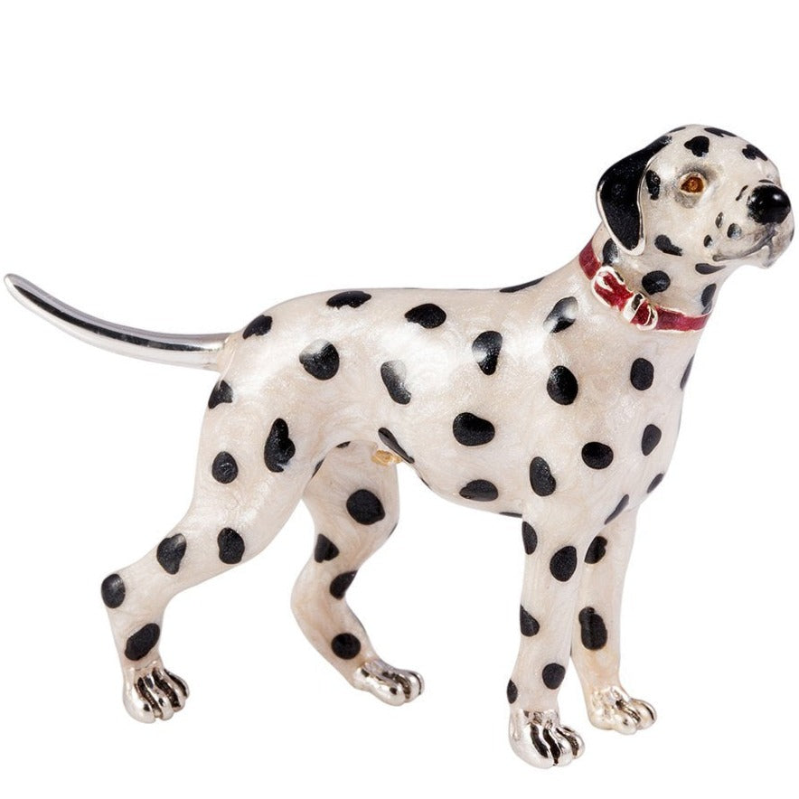 Large dalmatian 2024