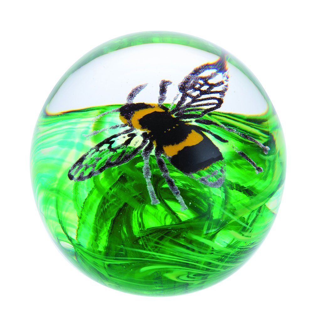 Caithness Glass Buzzing Bee Paperweight-delivery 2021-Paperweights-Goviers